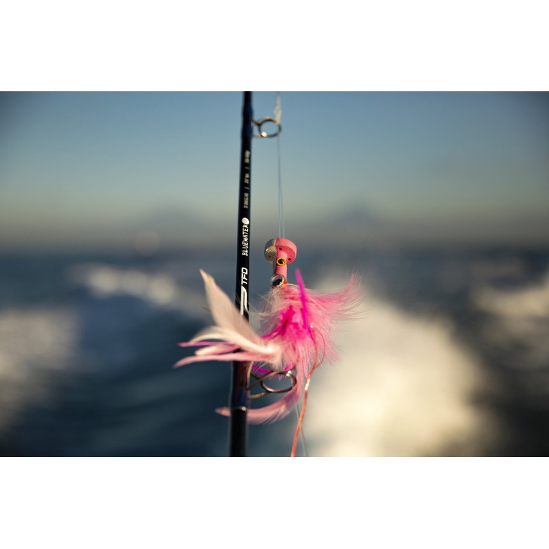 Temple Fork - Bluewater SG Fly Rods