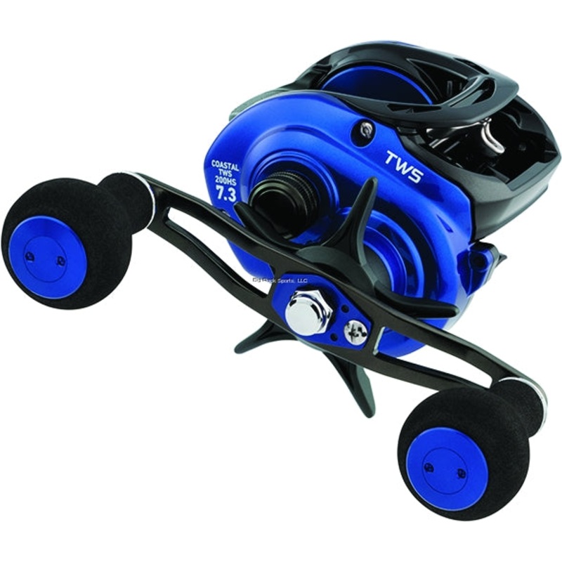Daiwa Coastal TW 200 Inshore Baitcasting Reels