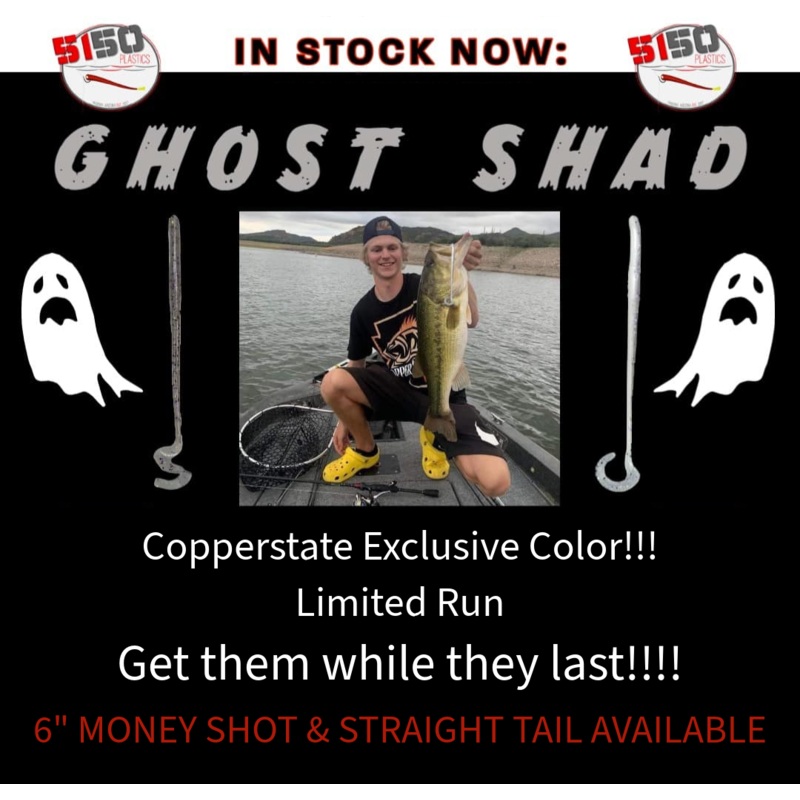 5150 - GHOST SHAD WORM