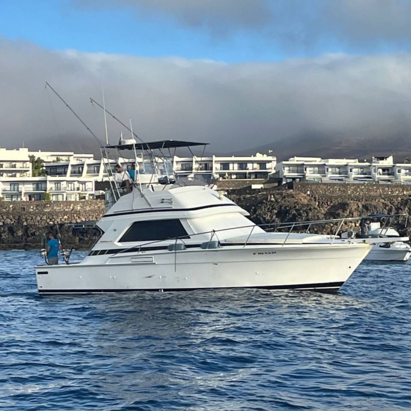 Fishing in the Canary Islands with Iberopesca