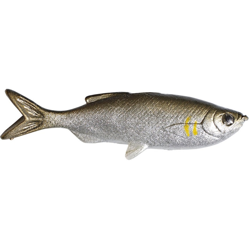 Huddleston Grass Minnow
