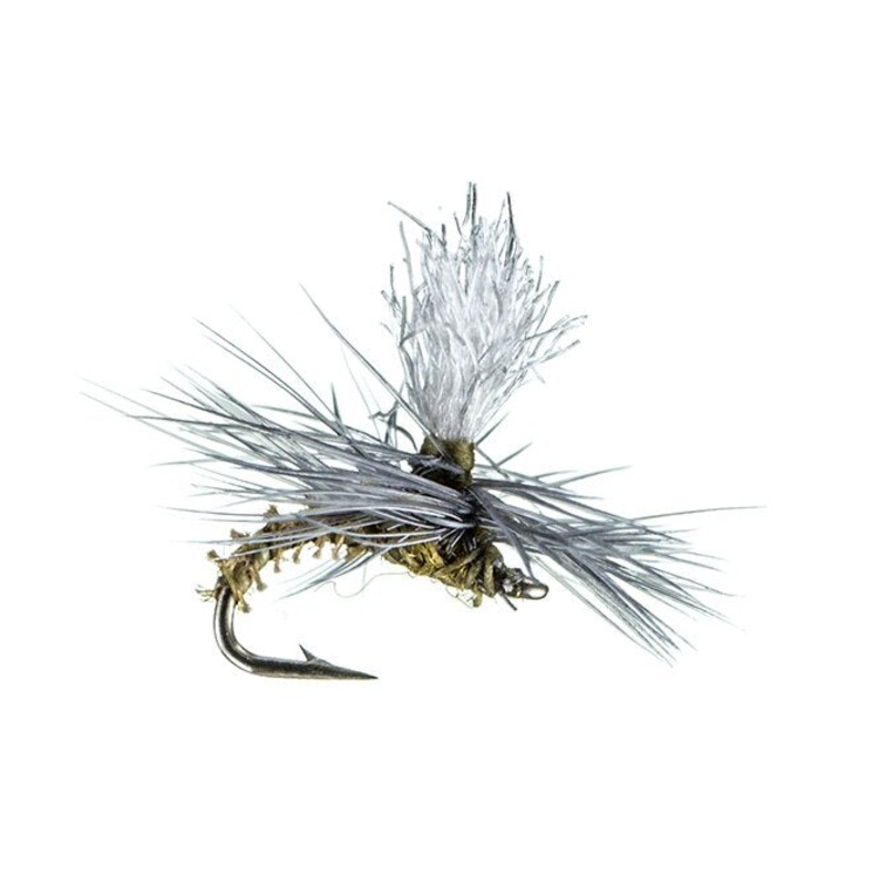 Christiaens' GT Adult - MFC Fly