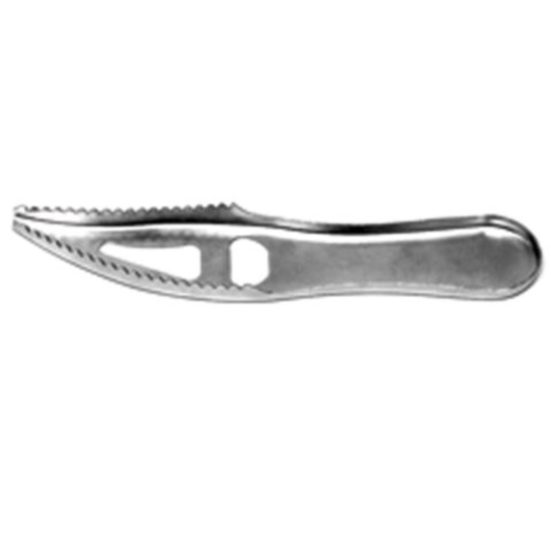 Eagle Claw Fish Scaler