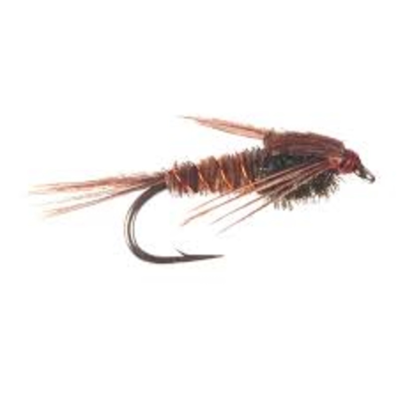 Umpqua Pheasant Tail Nymph