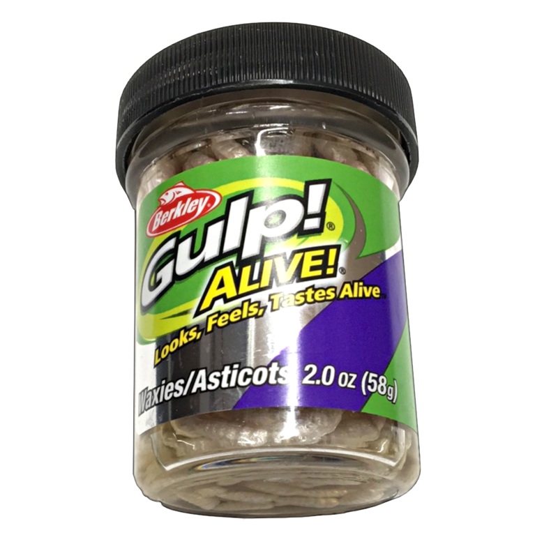 Gulp Alive Jar Waxies