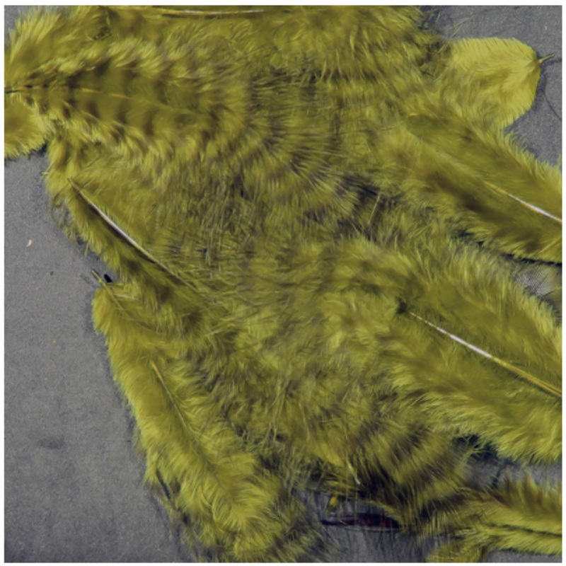 Grizzly Marabou