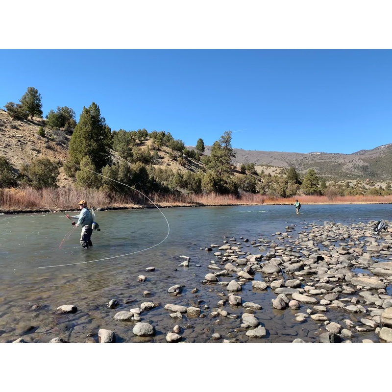 Colorado Trout Spey Custom Fly Selection