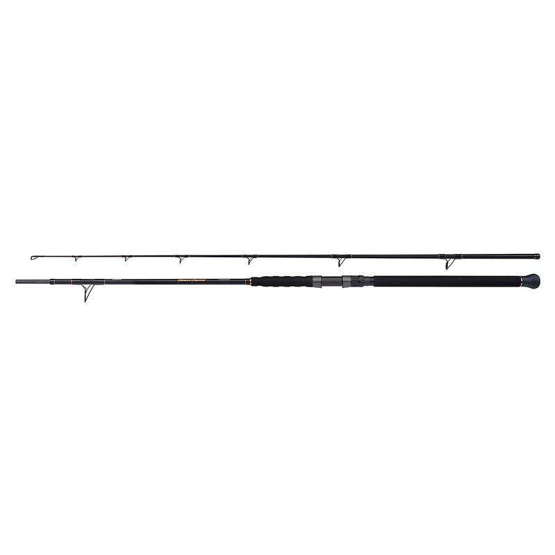 Shimano Beastmaster Catfish Multi 230cm 200g 2pc