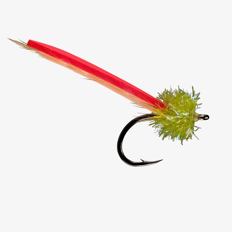 12 Pack - Rio's Palolo Worm