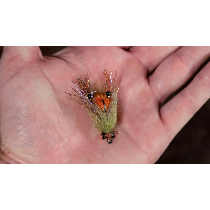 Mac Flies Swamp Bug