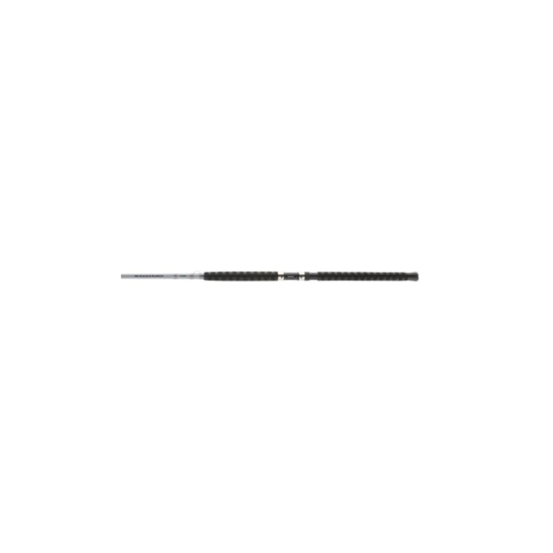 SHIMANO SAGUARO RODS