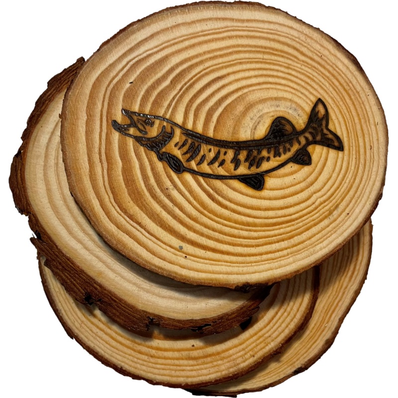 Live Edge Rustic Musky Coaster
