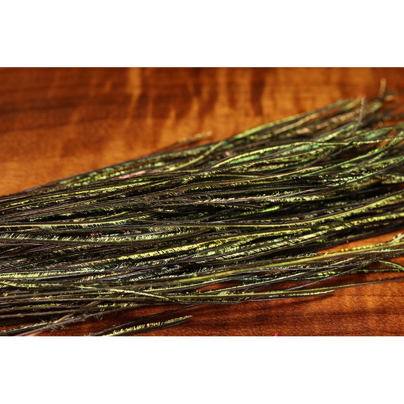 Strung Peacock Herl 5-7" Small