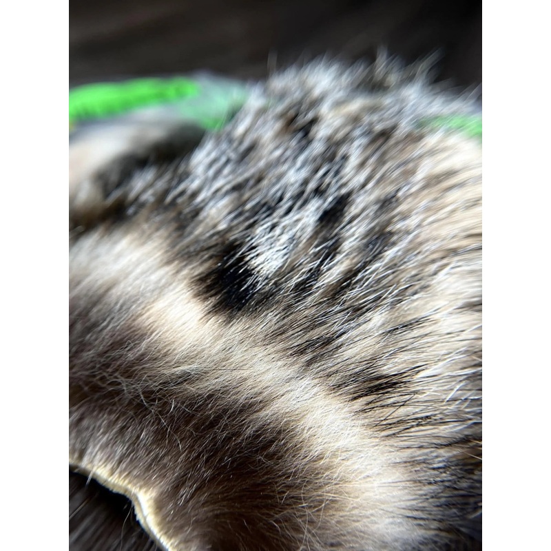 The Fly Hair Co. - Badger Body Hair