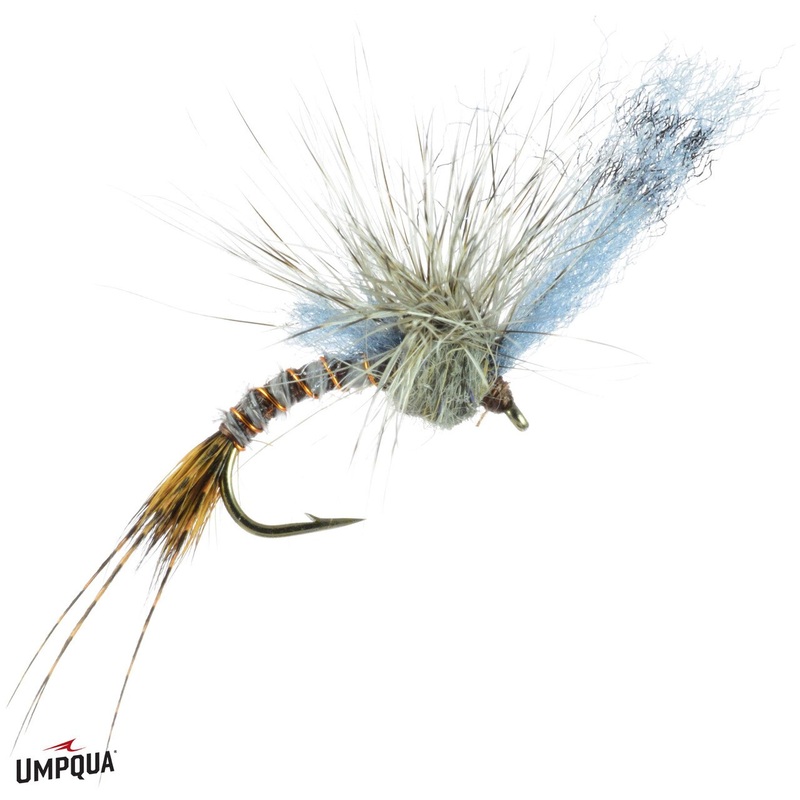 Film Critic - Umpqua Fly