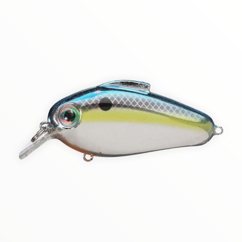 Bill Lewis Echo 1.75