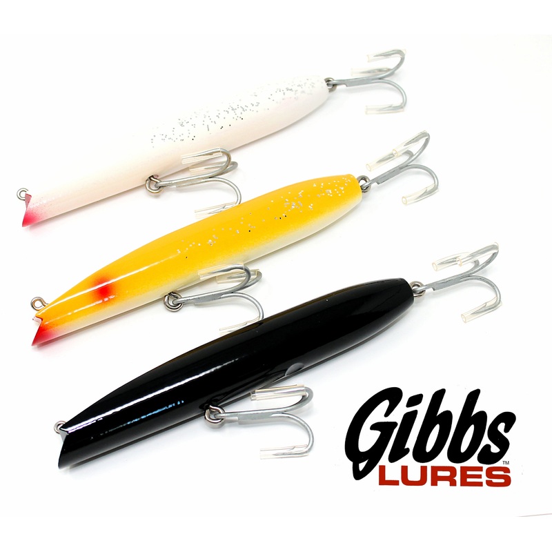 Gibbs Darter