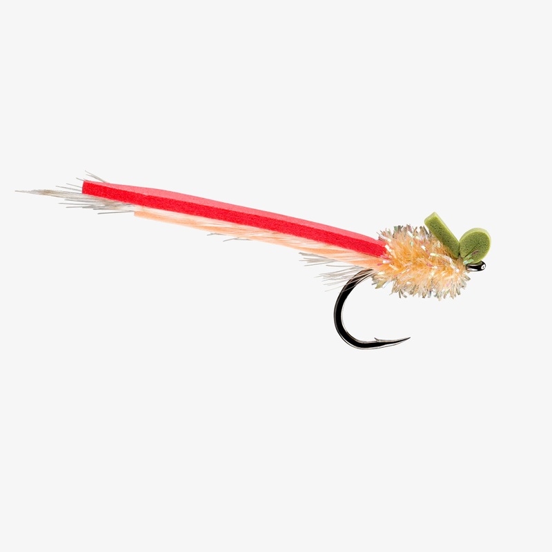 12 Pack - Rio Palolo Slider Flies