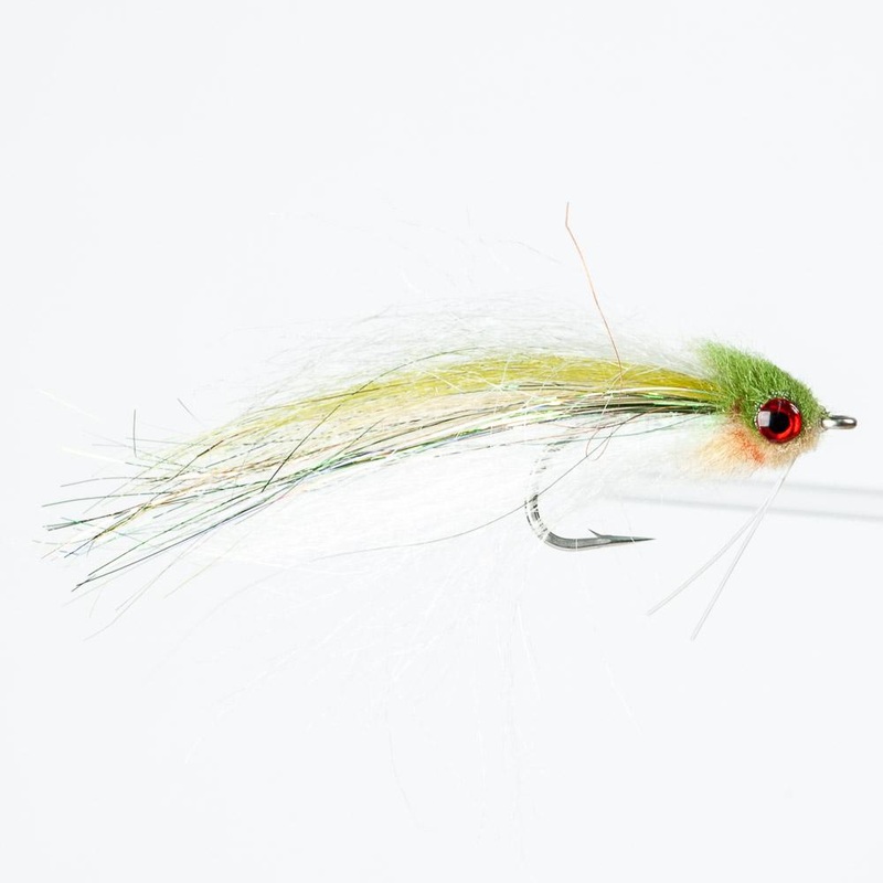 Umpqua Glades Minnow