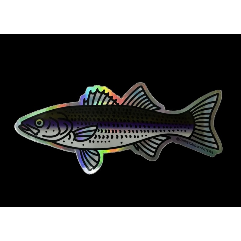 Holographic Striped Bass Decal