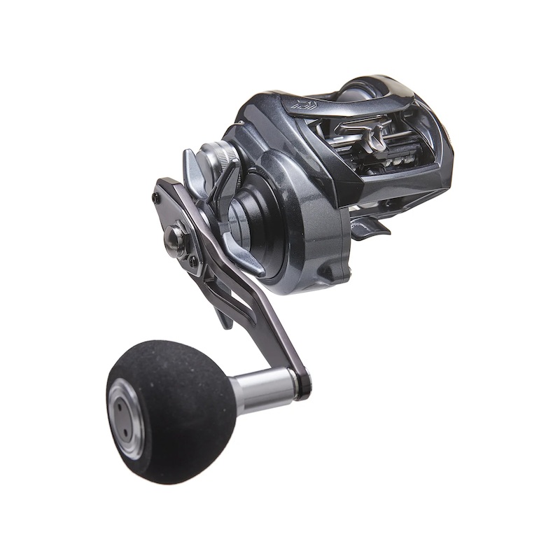 Daiwa Lexa TWS 300 Casting Reel