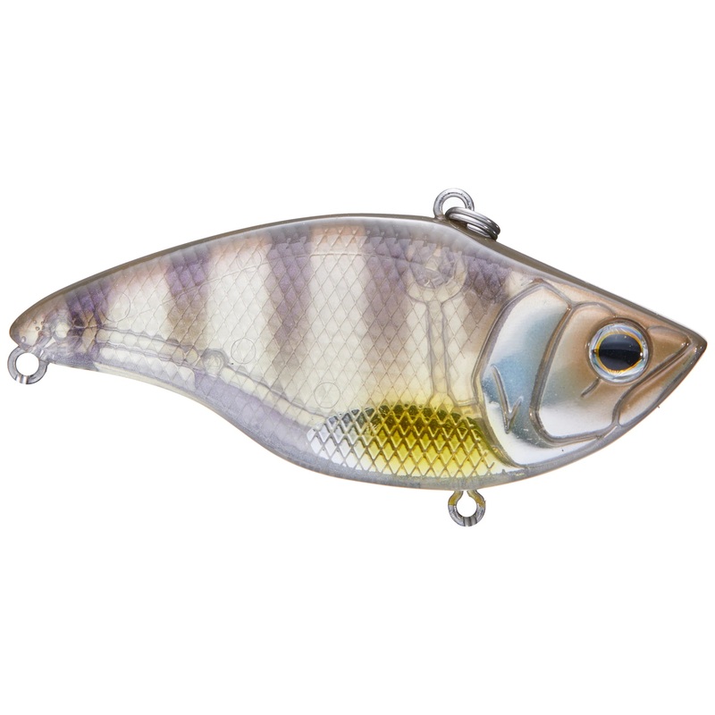 DEPS MS VIBRATION TG