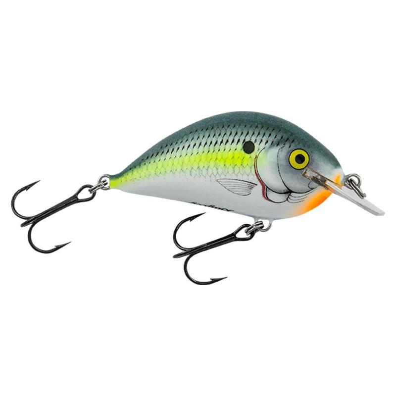 Bagley Pro Sunny B
