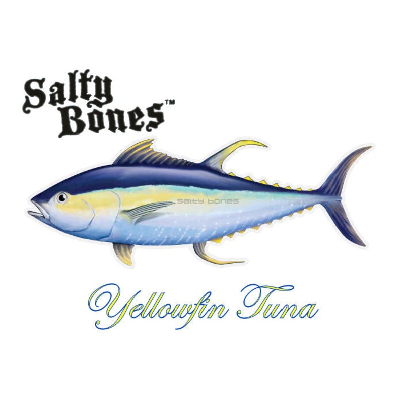 Salty Bones Yellowfin Tuna Profile Fish Decal