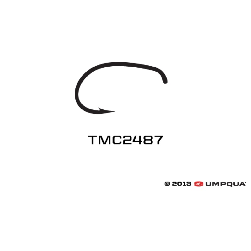 Tiemco TMC 2487 Curved Nymph Hooks - 100 Pack