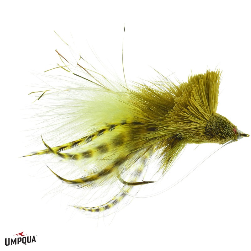 Umpqua Diving Bug