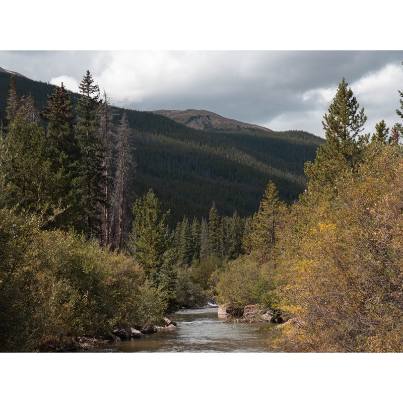 Clear Creek Custom Fly Selection