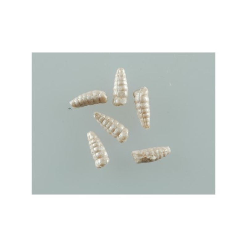Berkley Gulp Alive Waxies