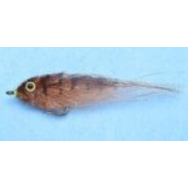 EP Mud Minnow #2