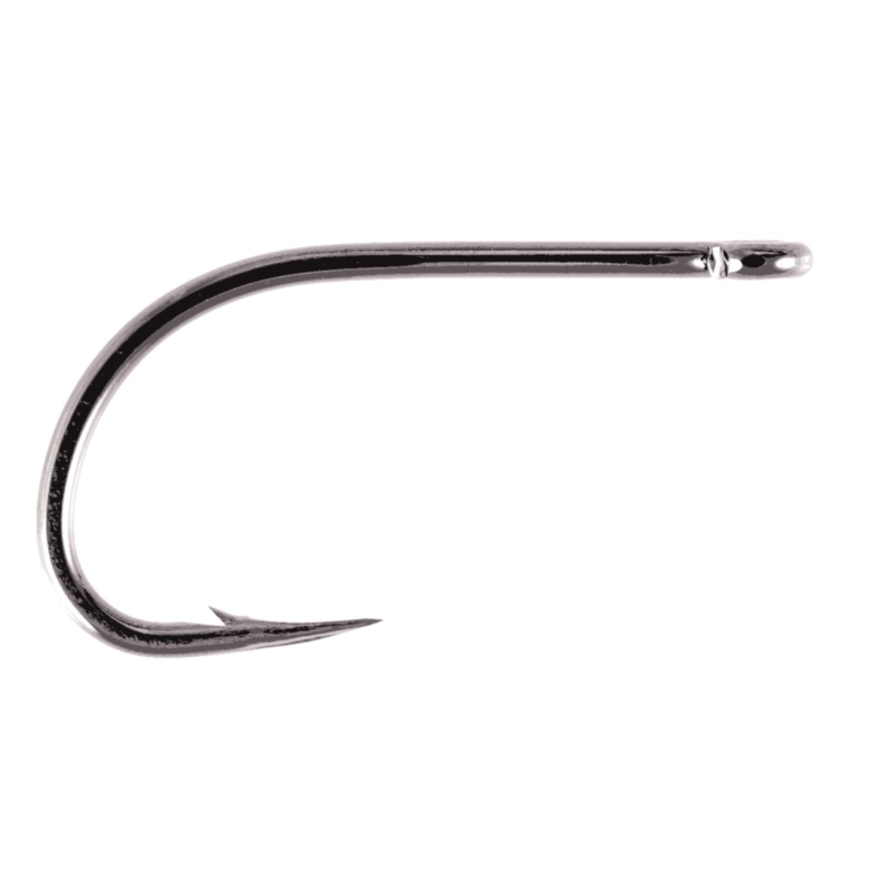 Owner Aki Hooks