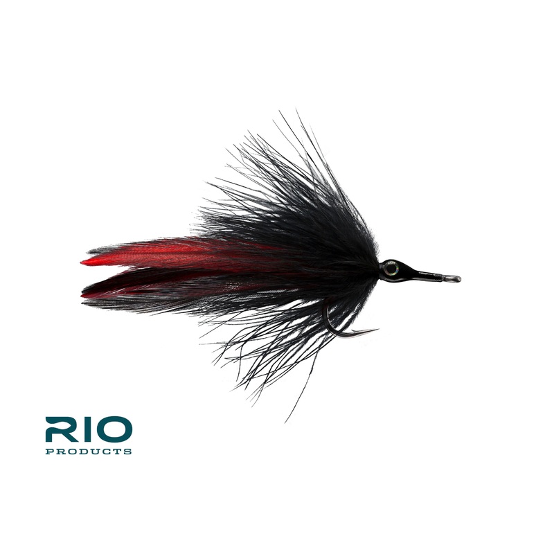 Rio's Black Death Fly