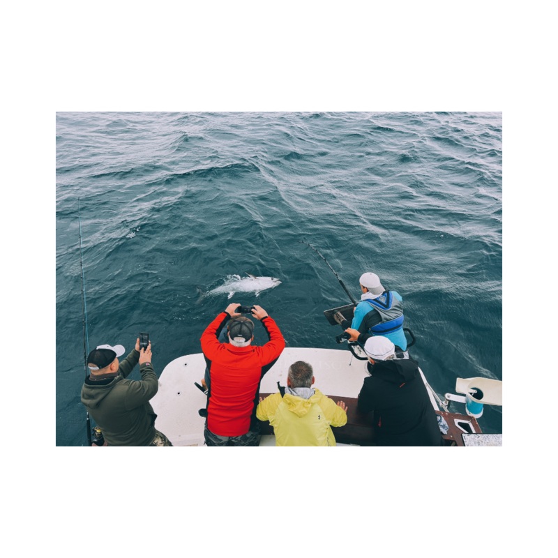 Fishing charter - Tunana Big Game Fishing in Istria (Medulin), Croatia