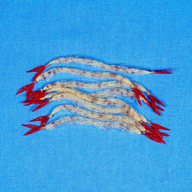 EP Crustaceous Claw