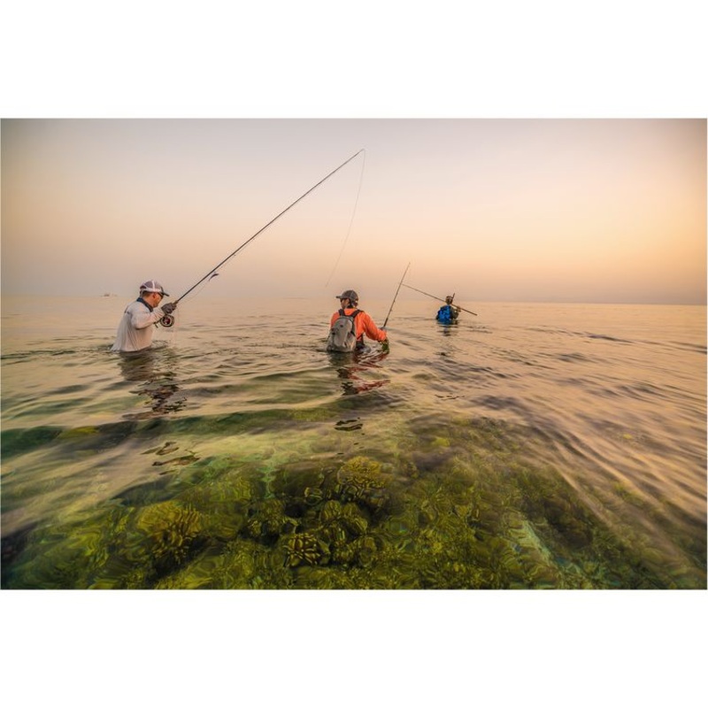 Patagonia / Danner River Salt Wading Boots