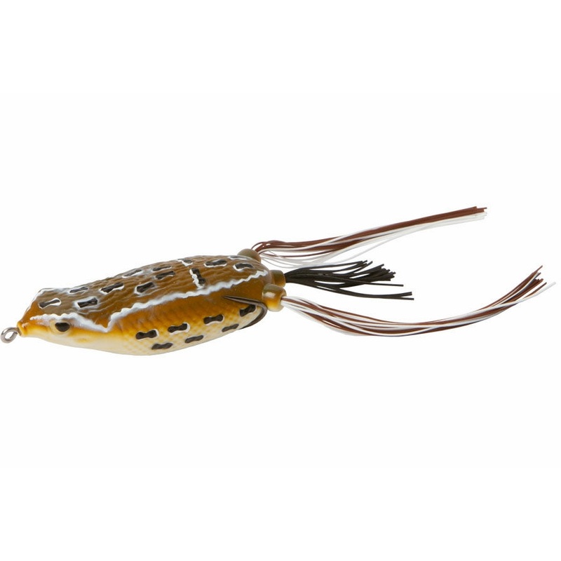 Zoom Hollow Belly Frog