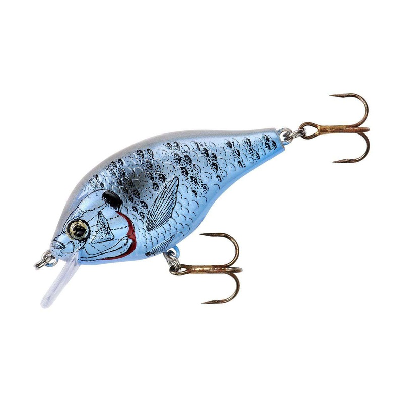 Rebel Bluegill