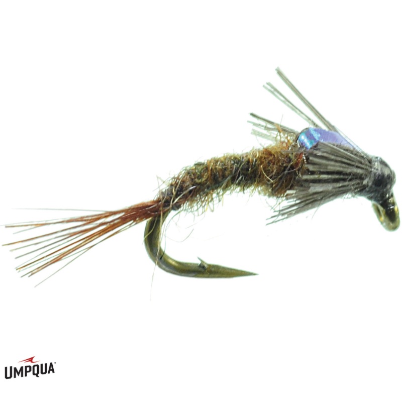 Barr's Flashback Emerger - Umpqua Fly