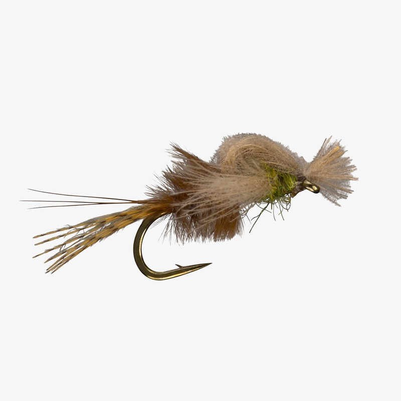 Captive Dun - Rio Fly