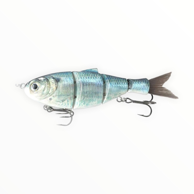 Castaic BD Shad