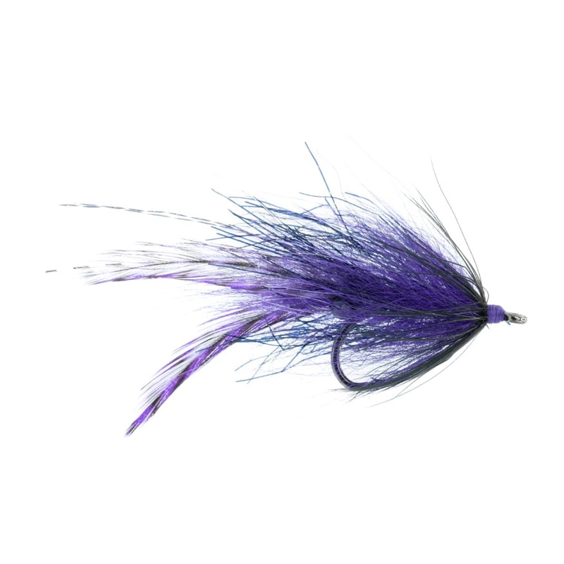Chewy's Fit For A King - Umpqua Fly