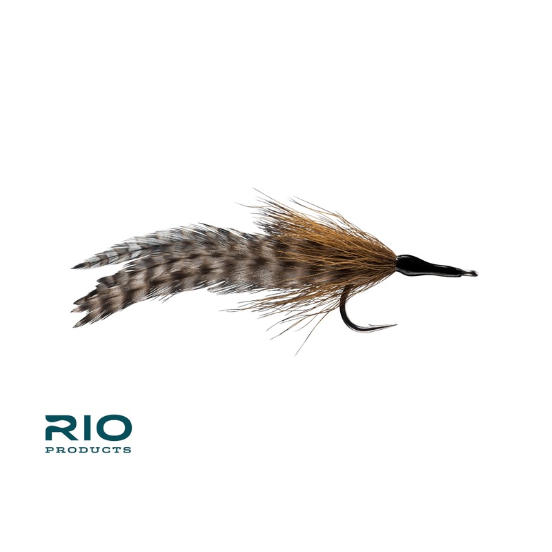 Rio's Cockroach Fly